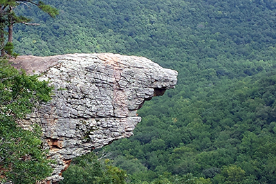 Collect 20160825 - WordPress Featured Image