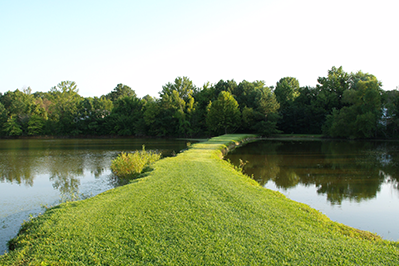 Collect 20160901 - WordPress Featured Image