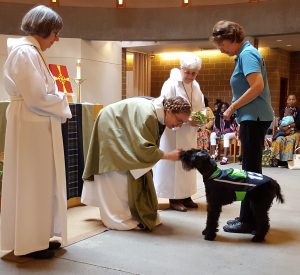 st-columba-animal-blessing