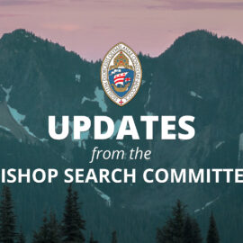 Updates from the Bishop Search Committee