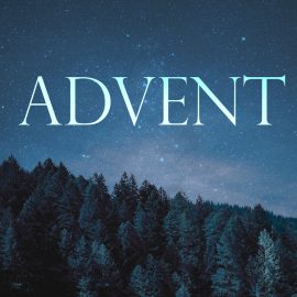 Advent 2023: An Advent Message and Appeal from Bishop Skelton
