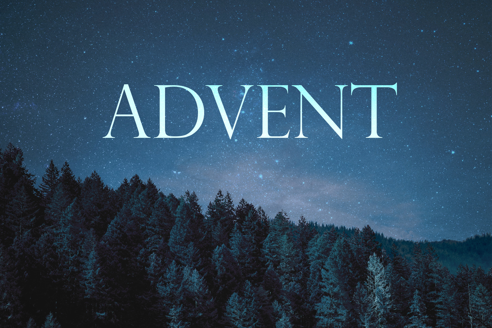 Advent 2023: An Advent Message And Appeal From Bishop Skelton - The ...