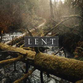 Lent 2024: A Message from Bishop Skelton