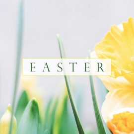 Easter 2024: A Message from Bishop Skelton