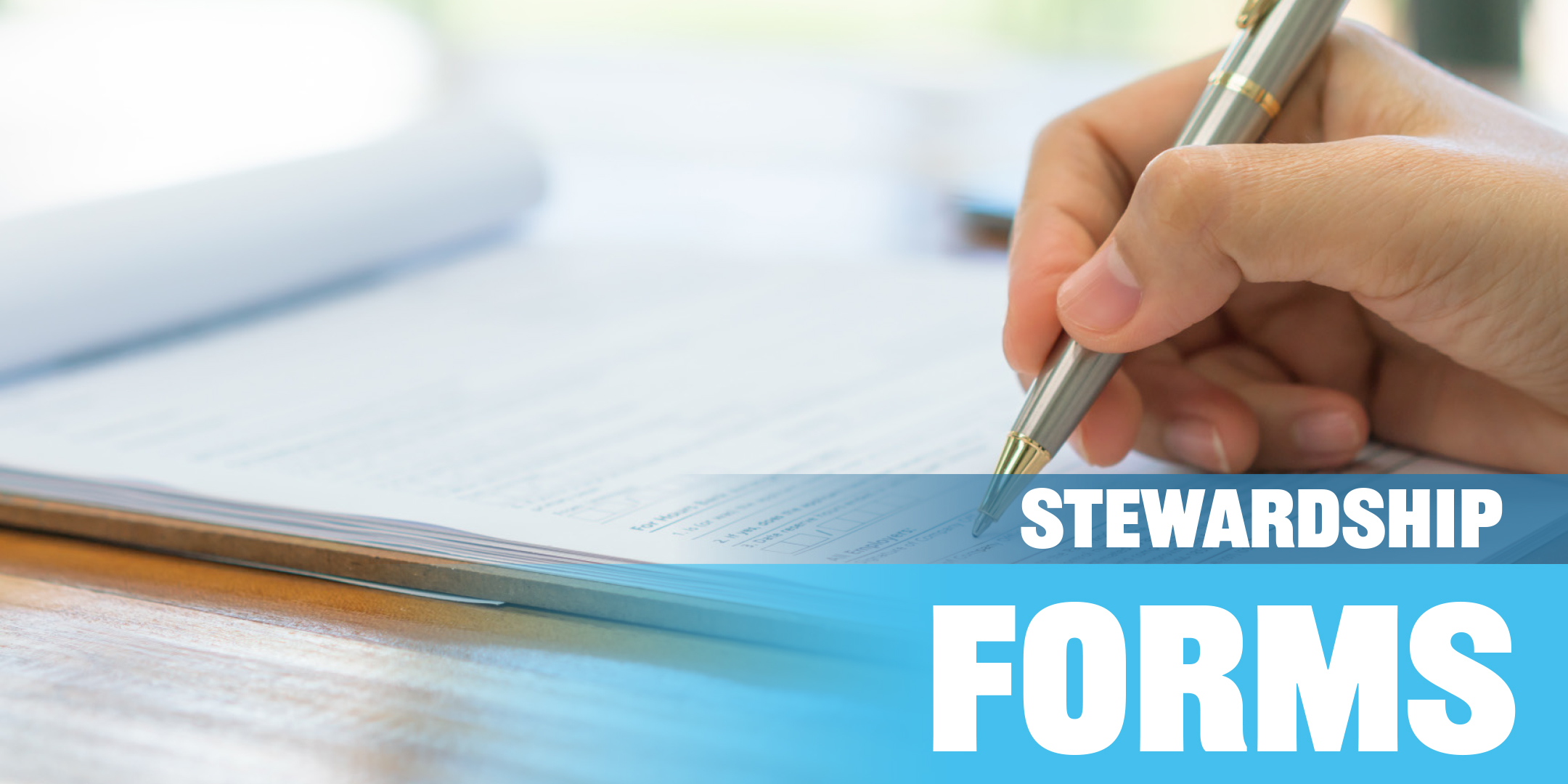 Stewardship Forms