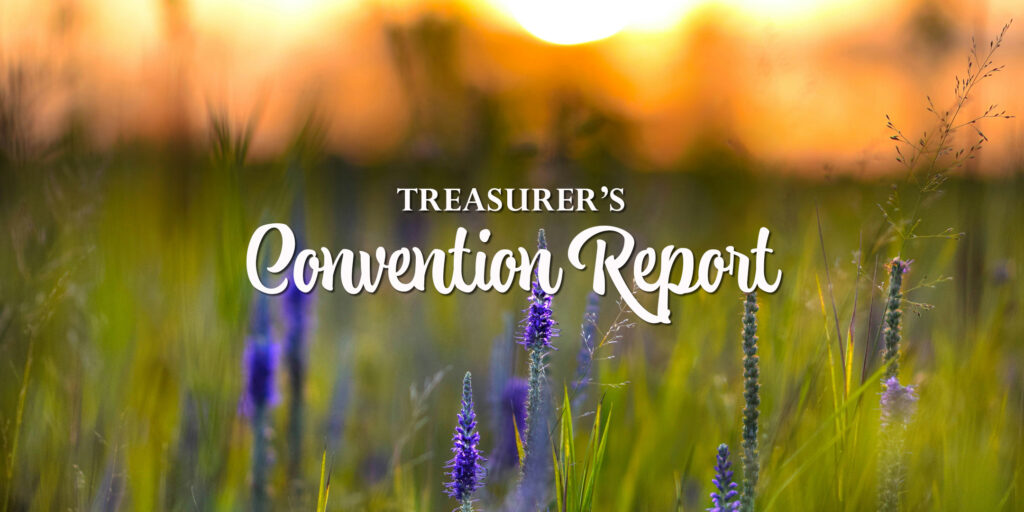 Treasurer's 2024 Convention Report