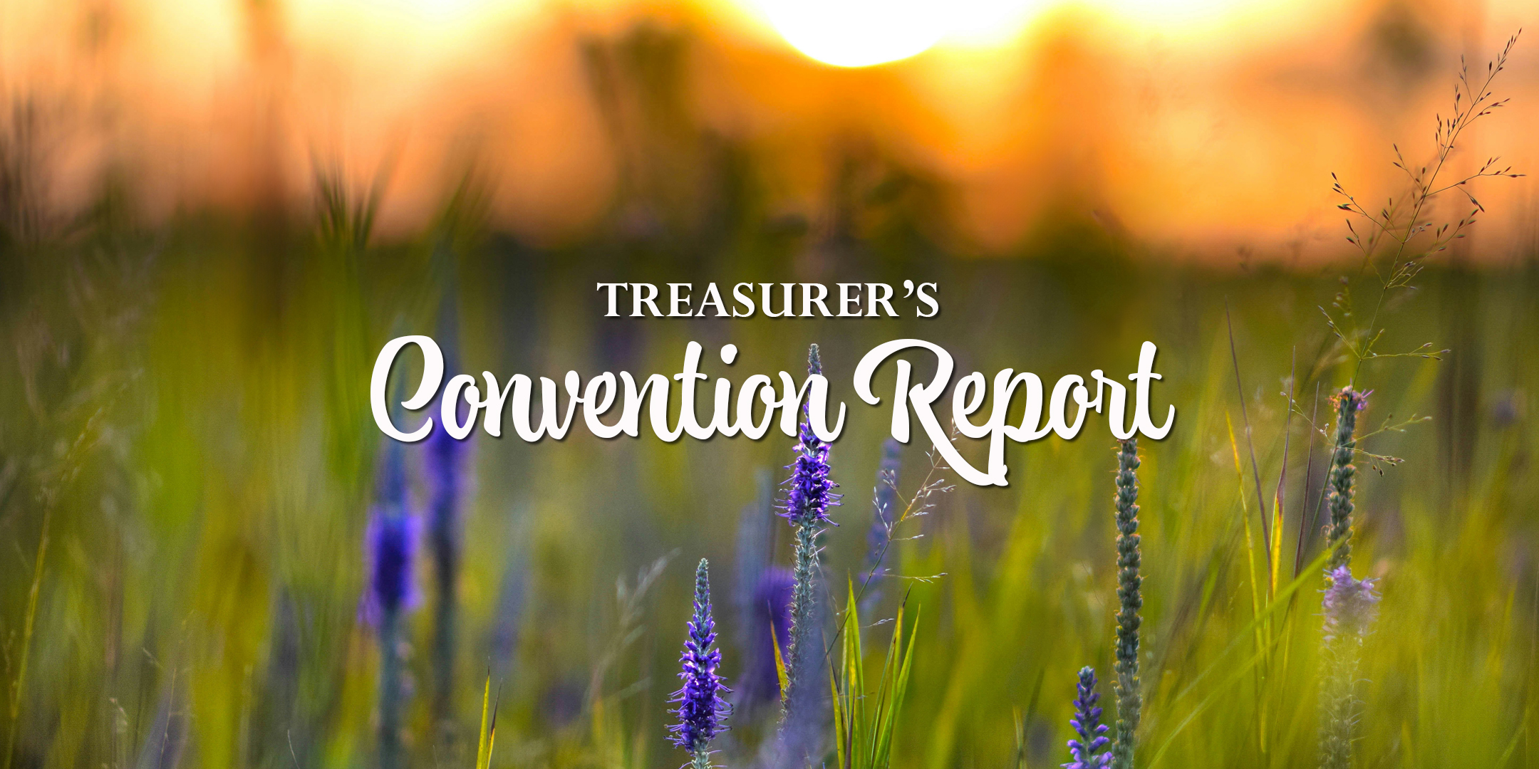 Treasurer's 2024 Convention Report
