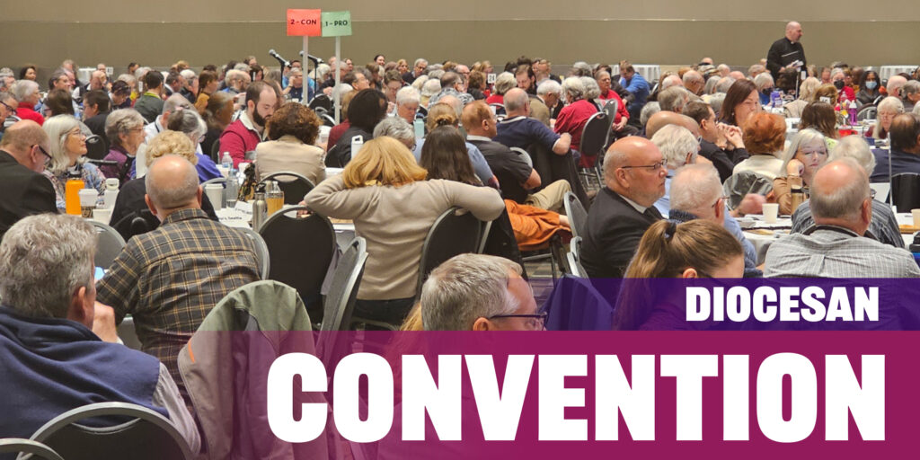 Diocesan Convention