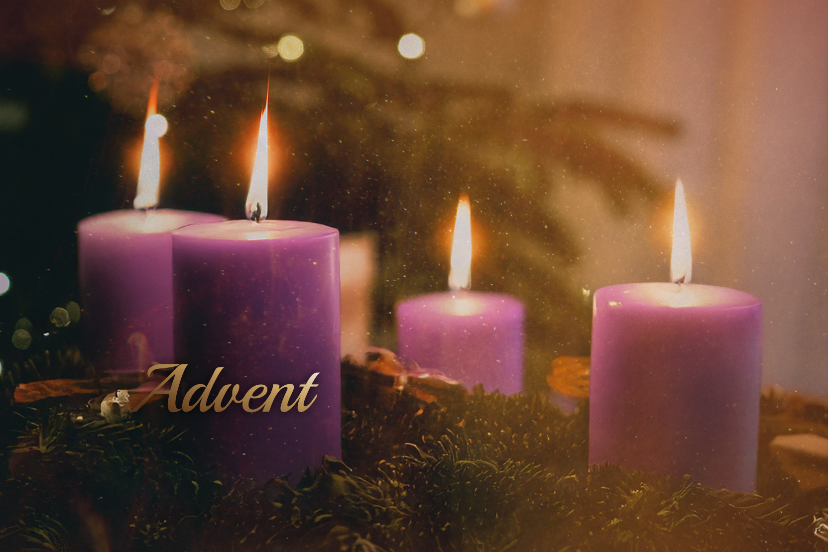 Advent 2025: A Message from Bishop LaBelle